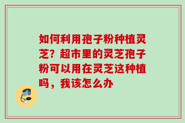 如何利用孢子粉种植灵芝?超市里的灵芝孢子粉可以用在灵芝这种植吗,我该怎么办 如何利用孢子粉种植灵芝?超市里的灵芝孢子粉可以用在灵芝这种植吗,我该怎么办