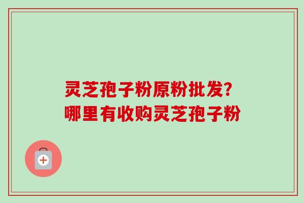 灵芝孢子粉原粉批发?哪里有收购灵芝孢子粉 灵芝孢子粉原粉批发?哪里有收购灵芝孢子粉