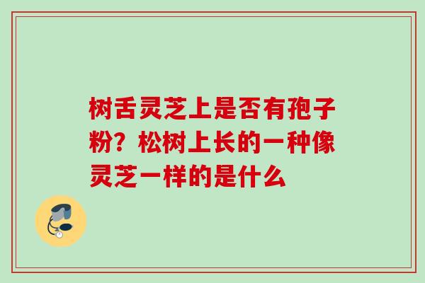树舌灵芝上是否有孢子粉?松树上长的一种像灵芝一样的是什么 树舌灵芝上是否有孢子粉?松树上长的一种像灵芝一样的是什么