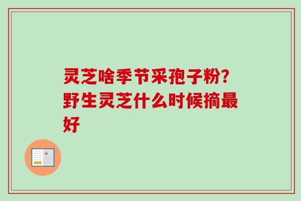 灵芝啥季节采孢子粉?野生灵芝什么时候摘好 灵芝啥季节采孢子粉?野生灵芝什么时候摘好