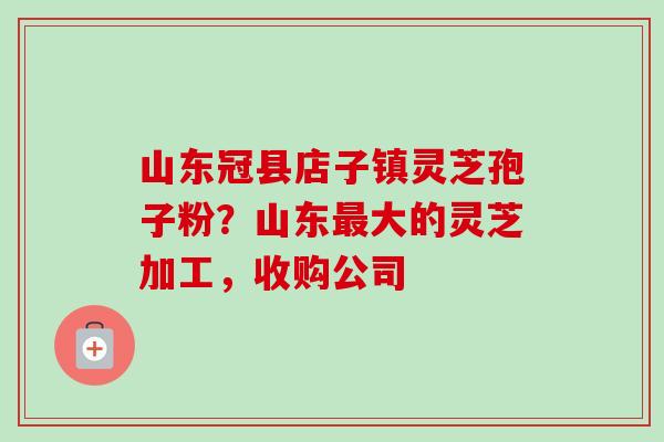 山东冠县店子镇灵芝孢子粉？山东大的灵芝加工，收购公司
