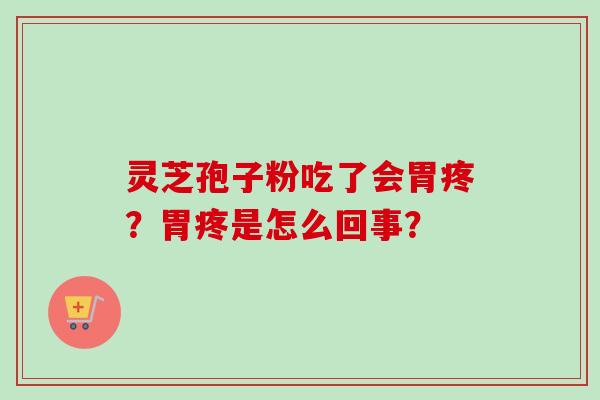 灵芝孢子粉吃了会胃疼?胃疼是怎么回事? 灵芝孢子粉吃了会胃疼?胃疼是怎么回事?