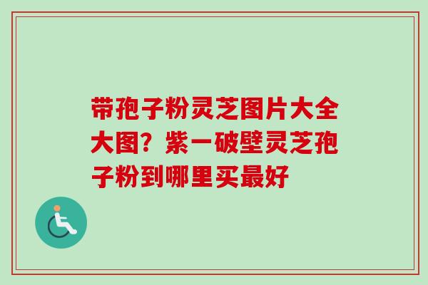 带孢子粉灵芝图片大全大图？紫一破壁灵芝孢子粉到哪里买好