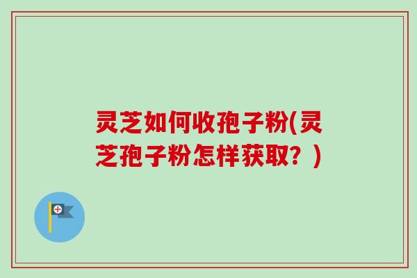 灵芝如何收孢子粉(灵芝孢子粉怎样获取？)