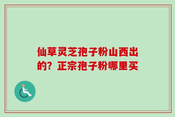 仙草灵芝孢子粉山西出的?正宗孢子粉哪里买 仙草灵芝孢子粉山西出的?正宗孢子粉哪里买