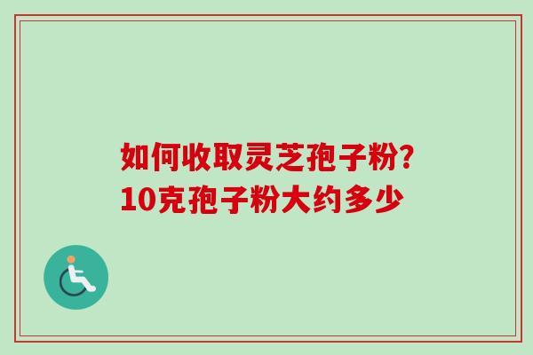 如何收取灵芝孢子粉？10克孢子粉大约多少