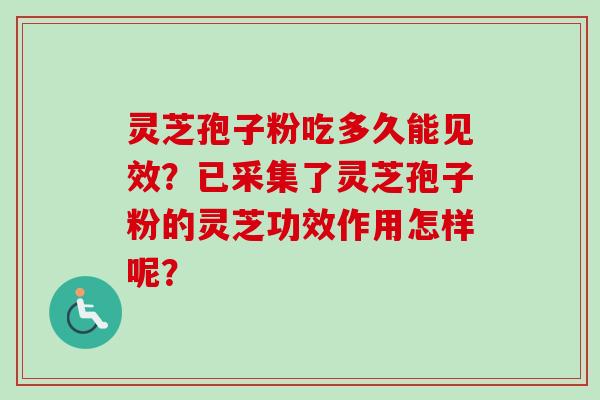 灵芝孢子粉吃多久能见效？已采集了灵芝孢子粉的灵芝功效作用怎样呢？