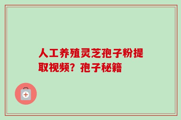 人工养殖灵芝孢子粉提取视频？孢子秘籍