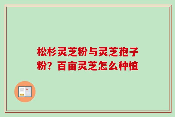 松杉灵芝粉与灵芝孢子粉?百亩灵芝怎么种植 松杉灵芝粉与灵芝孢子粉?百亩灵芝怎么种植