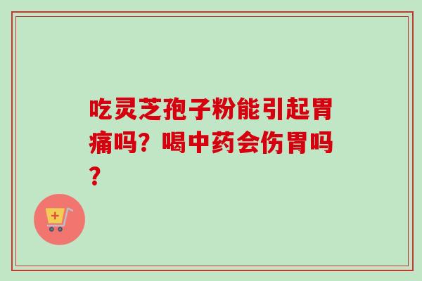 吃灵芝孢子粉能引起胃痛吗?喝会伤胃吗? 吃灵芝孢子粉能引起胃痛吗?喝会伤胃吗?
