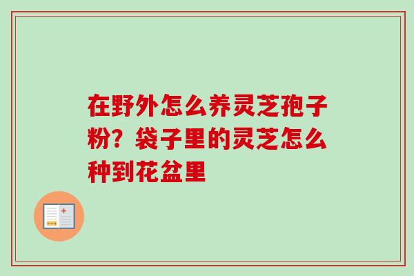 在野外怎么养灵芝孢子粉?袋子里的灵芝怎么种到花盆里 在野外怎么养灵芝孢子粉?袋子里的灵芝怎么种到花盆里