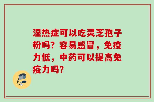 湿热症可以吃灵芝孢子粉吗？容易，免疫力低，可以提高免疫力吗？