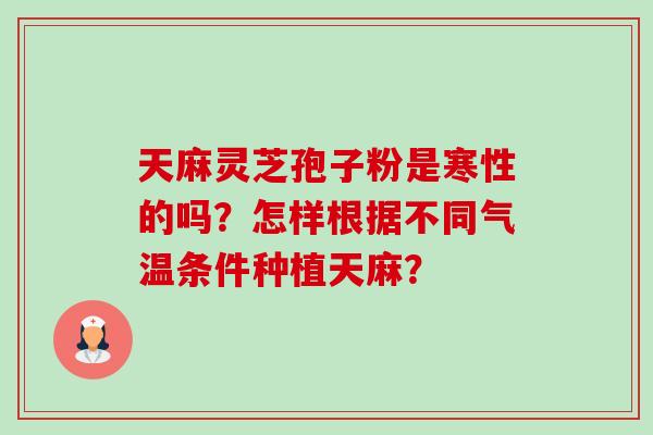 天麻灵芝孢子粉是寒性的吗?怎样根据不同气温条件种植天麻? 天麻灵芝孢子粉是寒性的吗?怎样根据不同气温条件种植天麻?