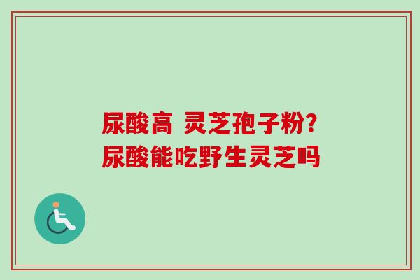尿酸高 灵芝孢子粉?尿酸能吃野生灵芝吗 尿酸高 灵芝孢子粉?尿酸能吃野生灵芝吗