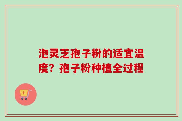 泡灵芝孢子粉的适宜温度?孢子粉种植全过程 泡灵芝孢子粉的适宜温度?孢子粉种植全过程