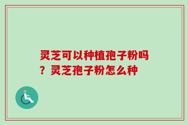 灵芝可以种植孢子粉吗?灵芝孢子粉怎么种 灵芝可以种植孢子粉吗?灵芝孢子粉怎么种