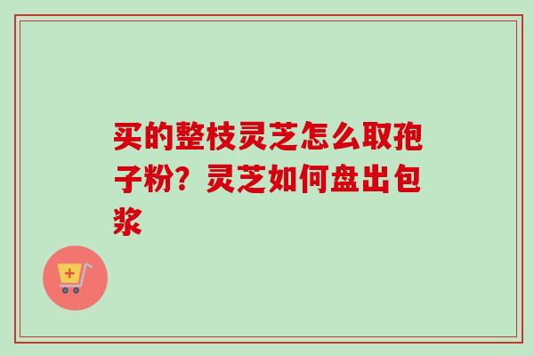 买的整枝灵芝怎么取孢子粉？灵芝如何盘出包浆