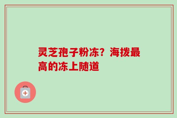 灵芝孢子粉冻?海拨高的冻上随道 灵芝孢子粉冻?海拨高的冻上随道