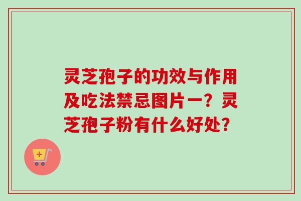 灵芝孢子的功效与作用及吃法禁忌图片一?灵芝孢子粉有什么好处? 灵芝孢子的功效与作用及吃法禁忌图片一?灵芝孢子粉有什么好处?