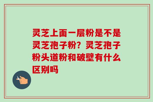 灵芝上面一层粉是不是灵芝孢子粉？灵芝孢子粉头道粉和破壁有什么区别吗