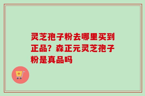 灵芝孢子粉去哪里买到正品？森正元灵芝孢子粉是真品吗