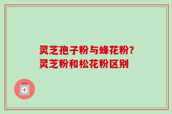 灵芝孢子粉与蜂花粉？灵芝粉和松花粉区别