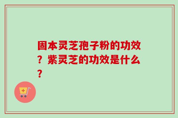 固本灵芝孢子粉的功效?紫灵芝的功效是什么? 固本灵芝孢子粉的功效?紫灵芝的功效是什么?