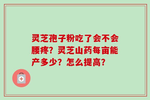 灵芝孢子粉吃了会不会腰疼?灵芝山药每亩能产多少?怎么提高? 灵芝孢子粉吃了会不会腰疼?灵芝山药每亩能产多少?怎么提高?