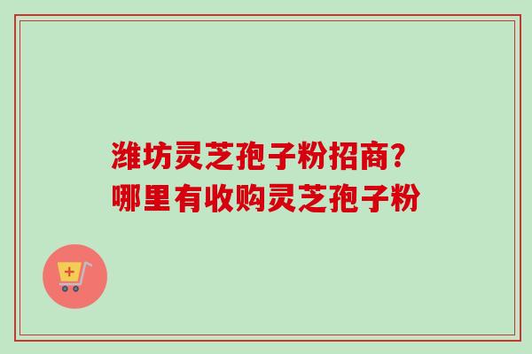 潍坊灵芝孢子粉招商？哪里有收购灵芝孢子粉