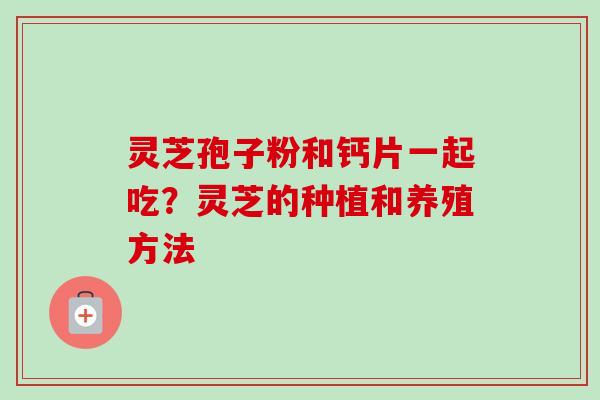 灵芝孢子粉和钙片一起吃?灵芝的种植和养殖方法 灵芝孢子粉和钙片一起吃?灵芝的种植和养殖方法