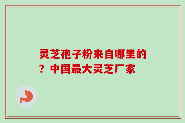 灵芝孢子粉来自哪里的？中国大灵芝厂家