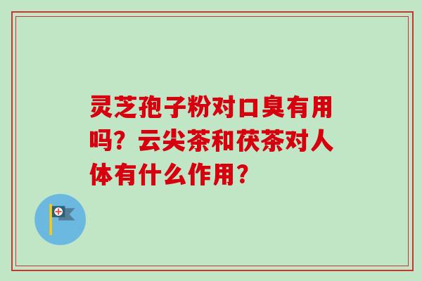 灵芝孢子粉对口臭有用吗?云尖茶和茯茶对人体有什么作用? 灵芝孢子粉对口臭有用吗?云尖茶和茯茶对人体有什么作用?