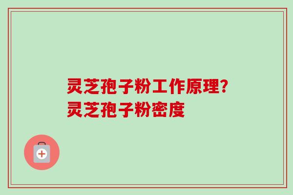 灵芝孢子粉工作原理?灵芝孢子粉密度 灵芝孢子粉工作原理?灵芝孢子粉密度
