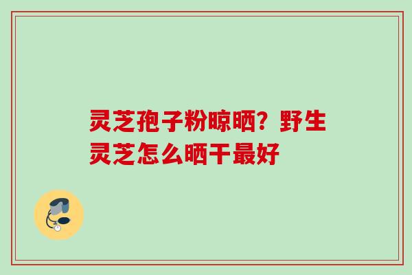 灵芝孢子粉晾晒?野生灵芝怎么晒干好 灵芝孢子粉晾晒?野生灵芝怎么晒干好