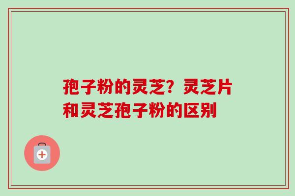孢子粉的灵芝?灵芝片和灵芝孢子粉的区别 孢子粉的灵芝?灵芝片和灵芝孢子粉的区别