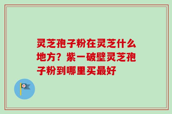 灵芝孢子粉在灵芝什么地方?紫一破壁灵芝孢子粉到哪里买好 灵芝孢子粉在灵芝什么地方?紫一破壁灵芝孢子粉到哪里买好