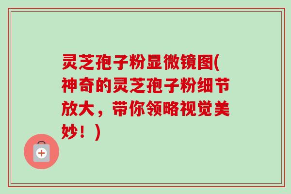灵芝孢子粉显微镜图(神奇的灵芝孢子粉细节放大,带你领略视觉美妙!) 灵芝孢子粉显微镜图(神奇的灵芝孢子粉细节放大,带你领略视觉美妙!)