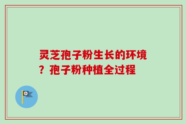 灵芝孢子粉生长的环境？孢子粉种植全过程