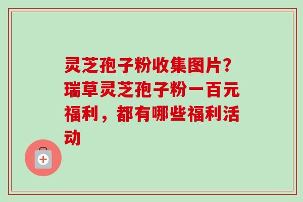 灵芝孢子粉收集图片?瑞草灵芝孢子粉一百元福利,都有哪些福利活动 灵芝孢子粉收集图片?瑞草灵芝孢子粉一百元福利,都有哪些福利活动