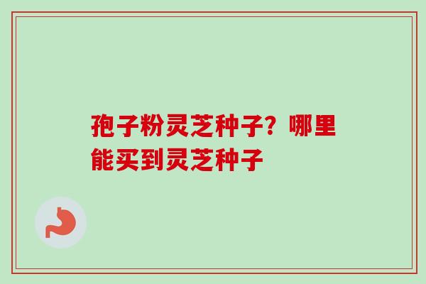 孢子粉灵芝种子?哪里能买到灵芝种子 孢子粉灵芝种子?哪里能买到灵芝种子