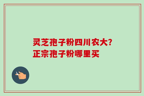 灵芝孢子粉四川农大?正宗孢子粉哪里买 灵芝孢子粉四川农大?正宗孢子粉哪里买