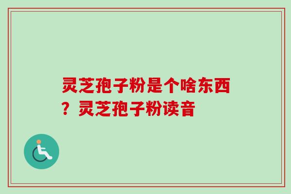 灵芝孢子粉是个啥东西？灵芝孢子粉读音