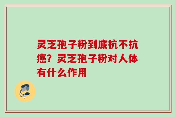 灵芝孢子粉到底抗不抗?灵芝孢子粉对人体有什么作用 灵芝孢子粉到底抗不抗?灵芝孢子粉对人体有什么作用