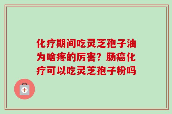 期间吃灵芝孢子油为啥疼的厉害?肠可以吃灵芝孢子粉吗 期间吃灵芝孢子油为啥疼的厉害?肠可以吃灵芝孢子粉吗