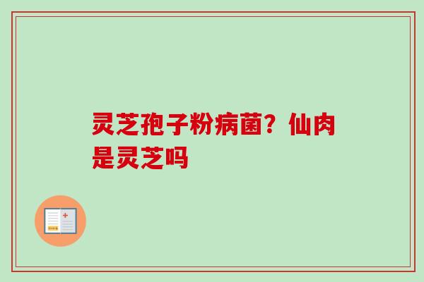 灵芝孢子粉菌？仙肉是灵芝吗