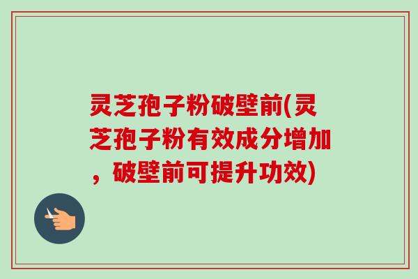 灵芝孢子粉破壁前(灵芝孢子粉有效成分增加,破壁前可提升功效) 灵芝孢子粉破壁前(灵芝孢子粉有效成分增加,破壁前可提升功效)