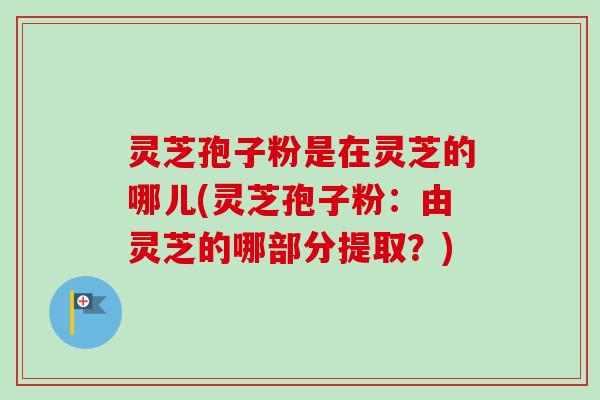 灵芝孢子粉是在灵芝的哪儿(灵芝孢子粉:由灵芝的哪部分提取?) 灵芝孢子粉是在灵芝的哪儿(灵芝孢子粉:由灵芝的哪部分提取?)