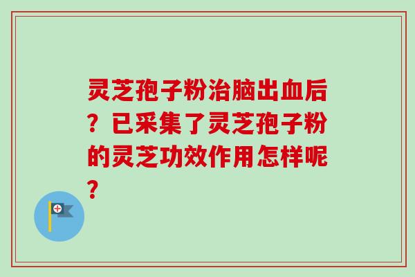 灵芝孢子粉脑出后?已采集了灵芝孢子粉的灵芝功效作用怎样呢? 灵芝孢子粉脑出后?已采集了灵芝孢子粉的灵芝功效作用怎样呢?