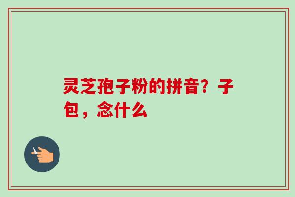 灵芝孢子粉的拼音？子包，念什么