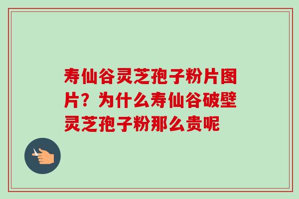 寿仙谷灵芝孢子粉片图片?为什么寿仙谷破壁灵芝孢子粉那么贵呢 寿仙谷灵芝孢子粉片图片?为什么寿仙谷破壁灵芝孢子粉那么贵呢